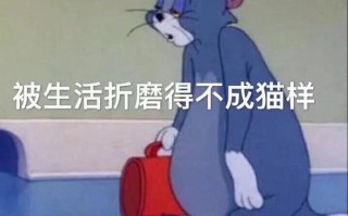 沙雕男友跳舞文案，沙雕男友跳舞文案怎么写